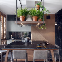 ¿Qué plantas se pueden usar en la cocina?-5