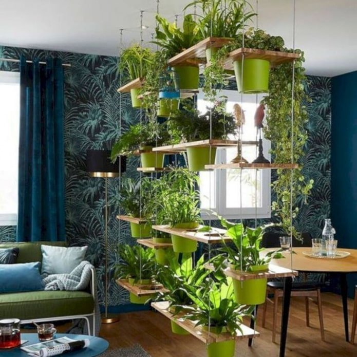 Plantas bajas en el interior