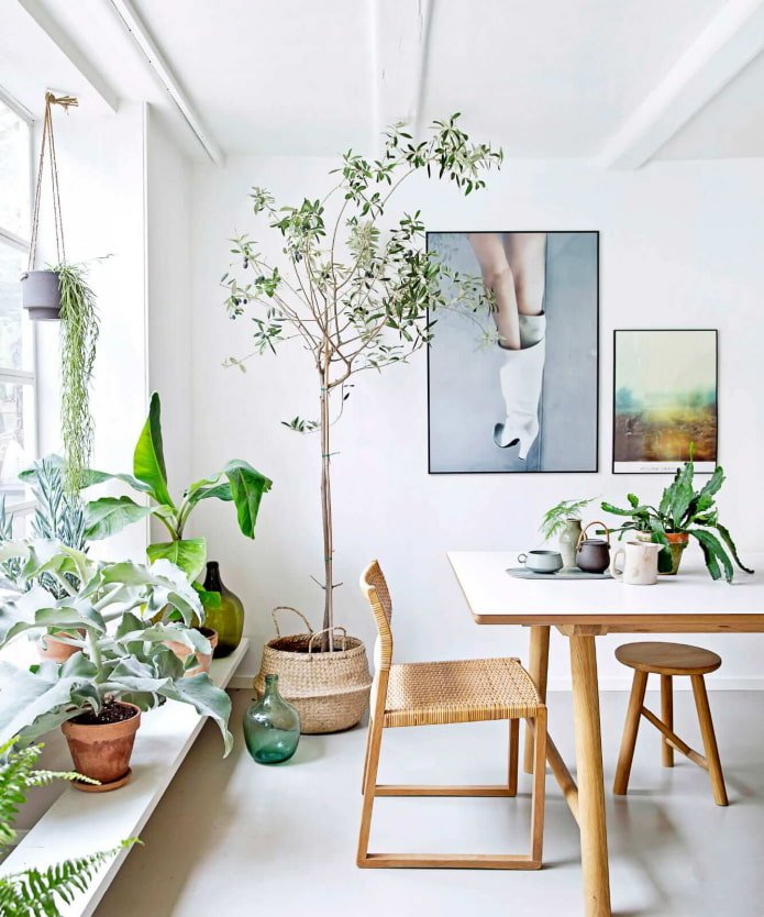 Decorar el interior con plantas