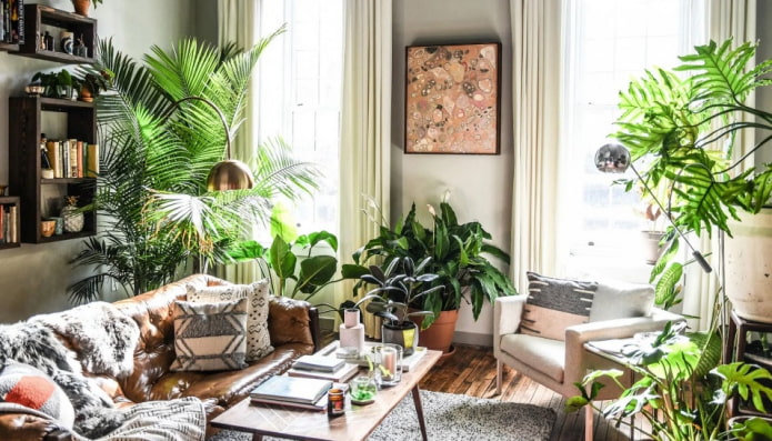 Plantas alrededor del perímetro de la habitación