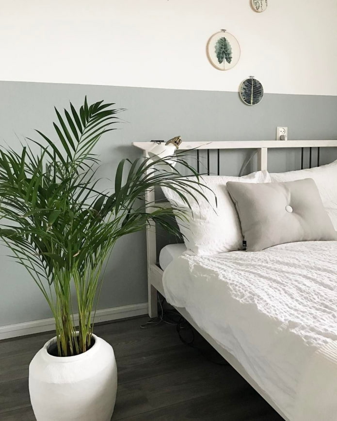 Plantas en el dormitorio