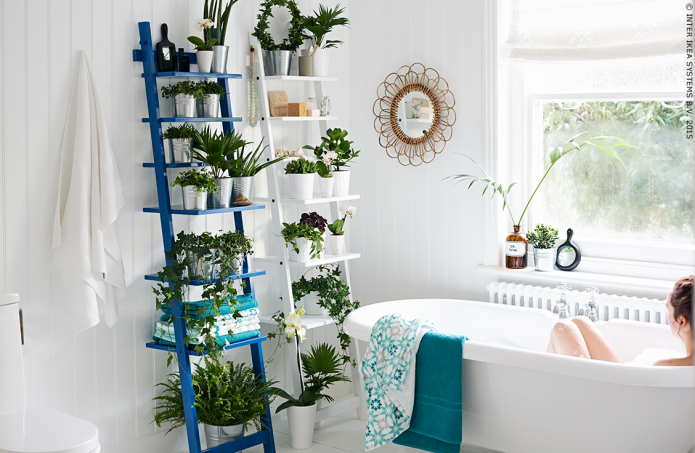 Plantas en el baño