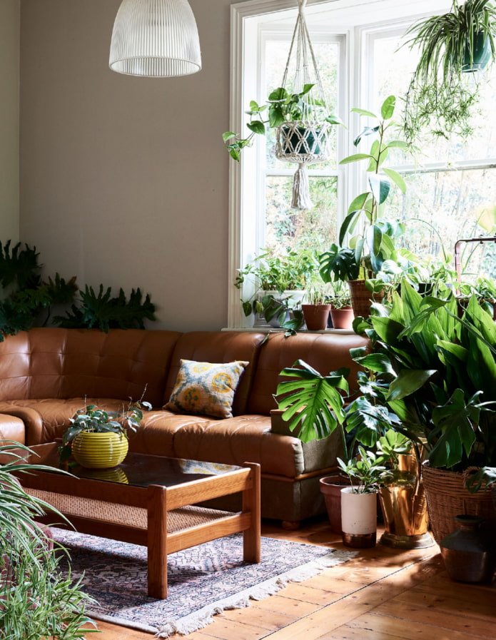 Plantas en el interior de la sala de estar