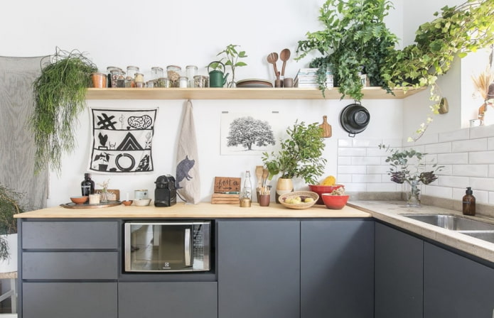 Plantas en el interior de la cocina