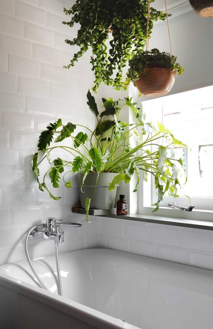 Flores sobre la bañera