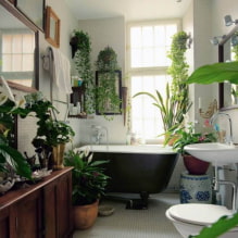 Plantas para el baño-0