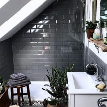 Plantas para el baño-1