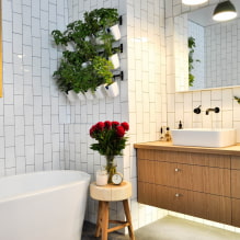 Plantas para el baño-3