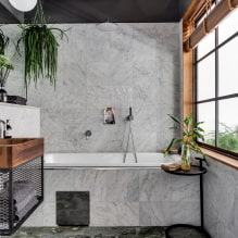 Plantas para el baño-2