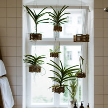 Plantas para el baño-4