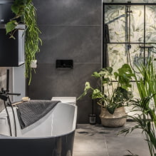 Plantas para el baño-5
