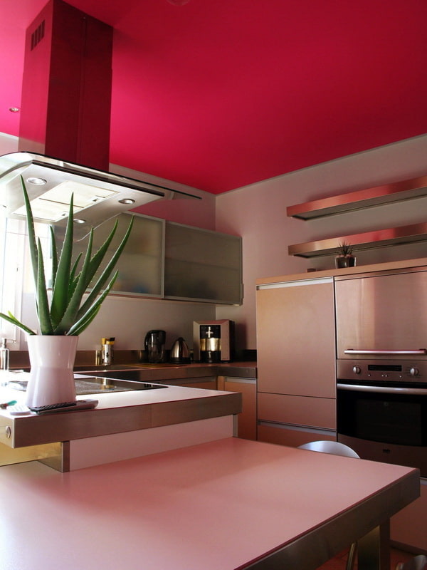 revestimiento de techo rosa en la cocina