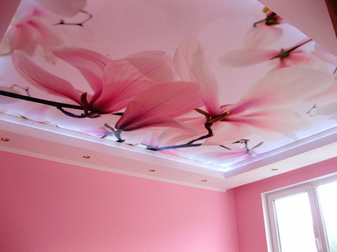 Estructura de techo rosa con impresión fotográfica