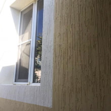 Escarabajo de corteza de yeso decorativo: guía detallada-1