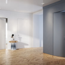 Puertas ocultas en el interior (pros y contras, fotos y diseño)-5