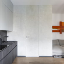 Puertas ocultas en el interior (pros y contras, fotos y diseño)-4