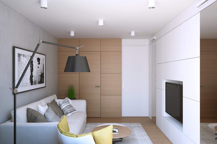 Diseño de salón en un apartamento de una habitación de 43 m².