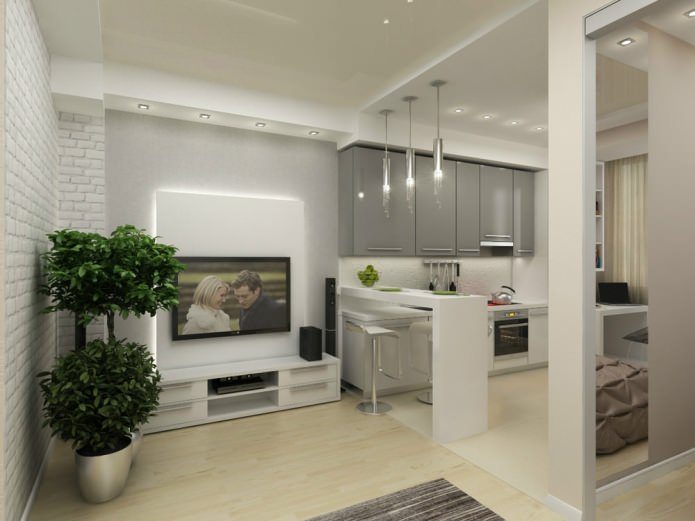 Diseño de un apartamento de una habitación de 45 m².