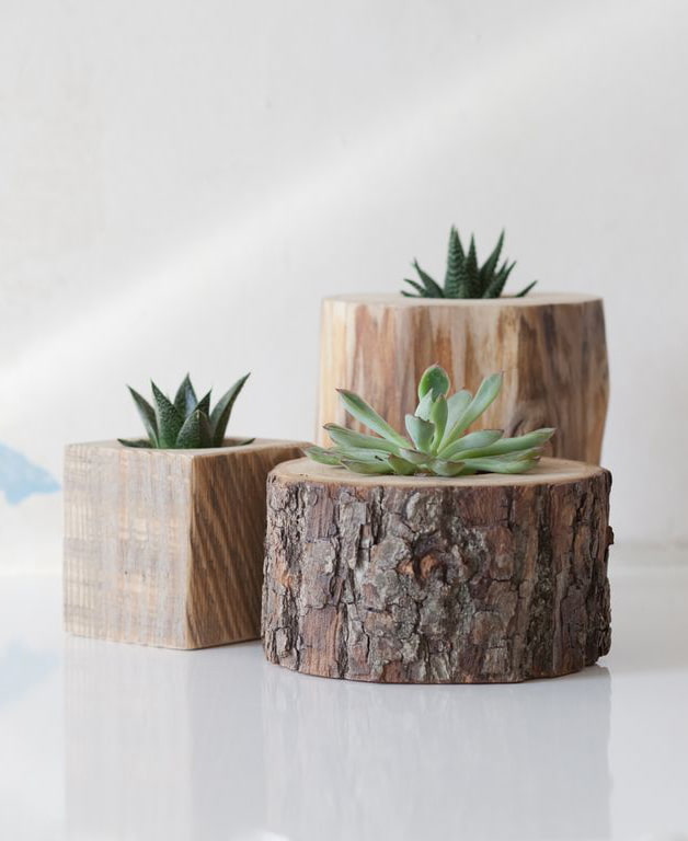 Jardineras para suculentas