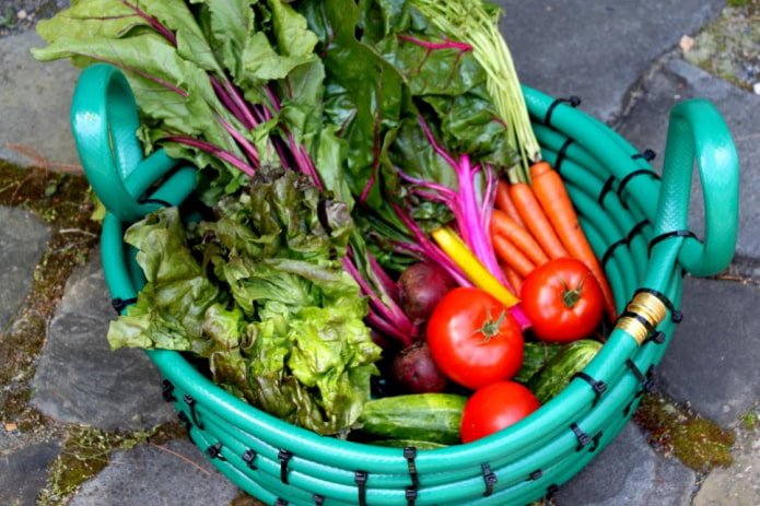 cesta con verduras