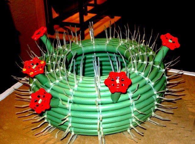cactus de una manguera