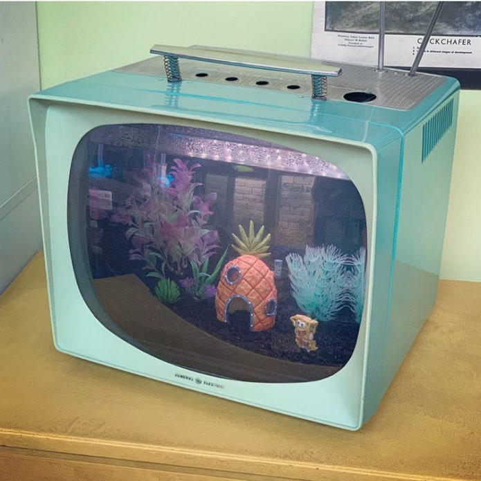 Acuario con estilo de un televisor antiguo