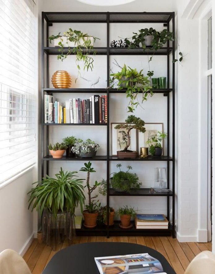 estructura de estante en el interior de la logia