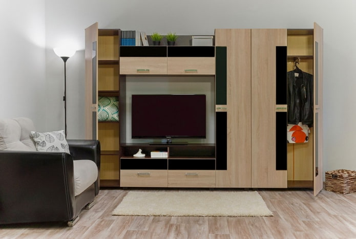 Pared para ropa en el salón