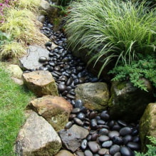 ¿Cómo diseñar un arroyo seco en un sitio?-0