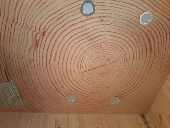 tela tensada bajo el árbol