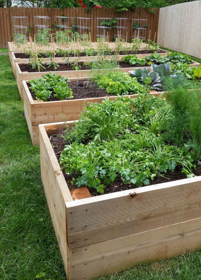 Camas elevadas