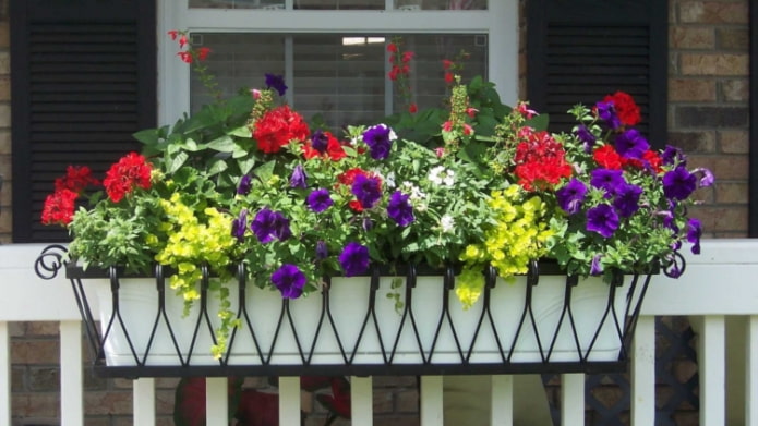 cestas con flores