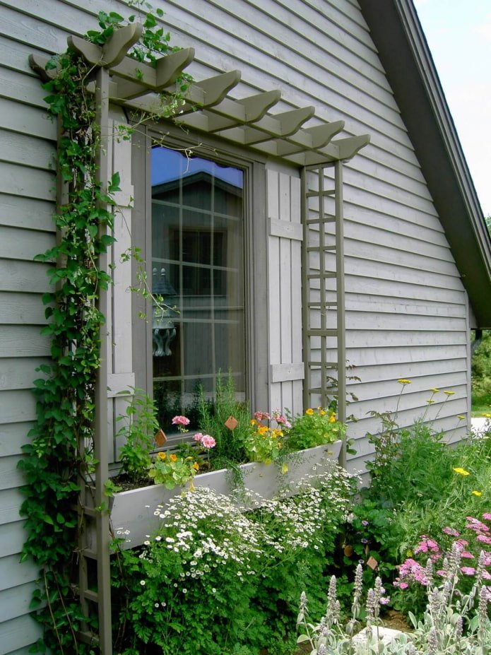 pérgola alrededor de la ventana