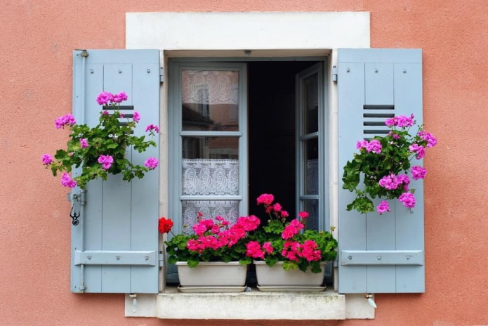 persianas con flores