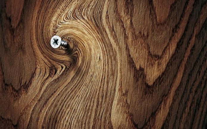 Tornillo autorroscante en madera