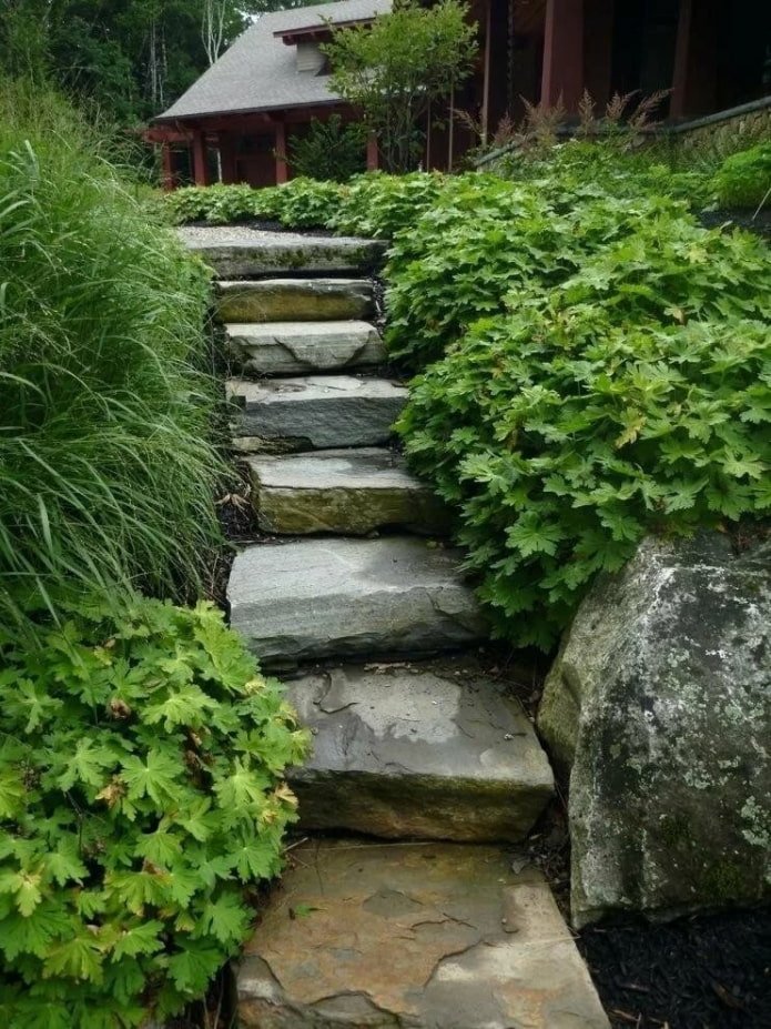 escaleras de piedra en el jardín