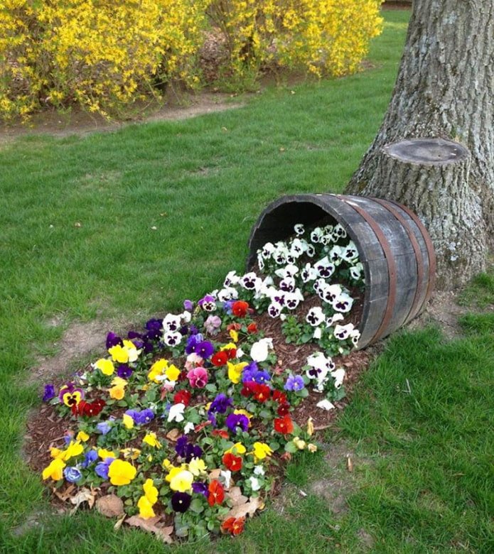 Parterre de barril