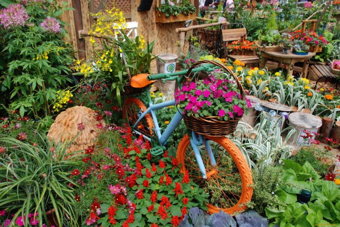 Bicicleta entre flores