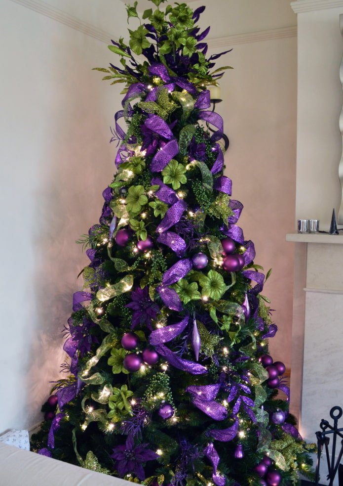 Purple and green spruce