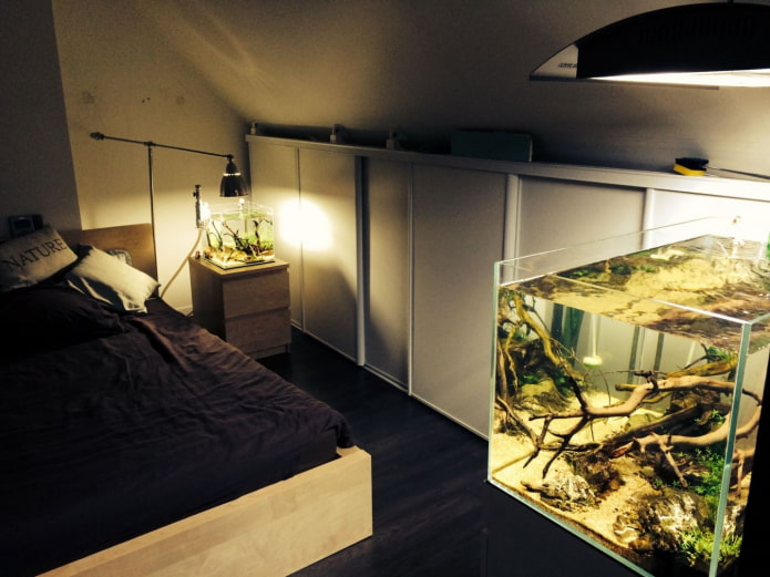 acuarios pequeños en el dormitorio