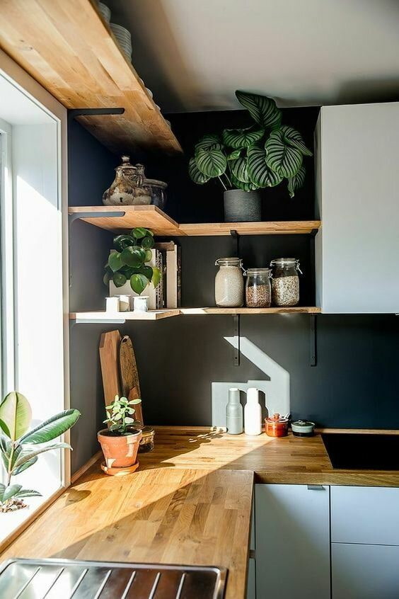 Planta de interior