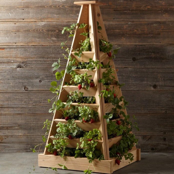 Fresas en un macizo de flores vertical