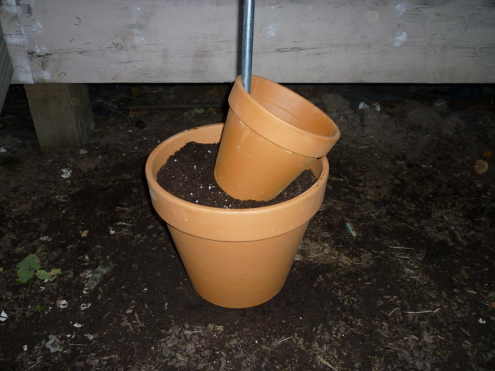 Dos macetas para un macizo de flores