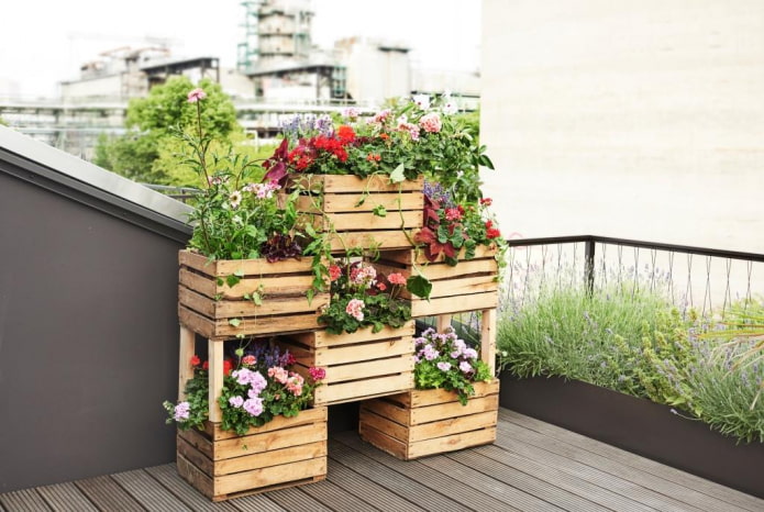 Macizo de flores hecho de cajas con plantas colgantes