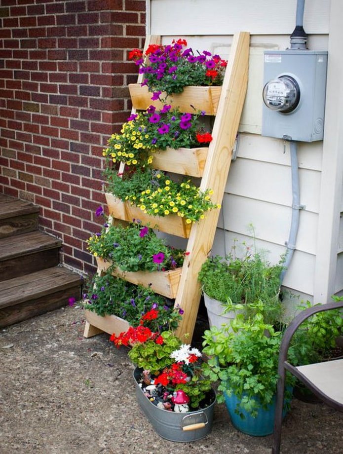 Macizo de flores en forma de escalera