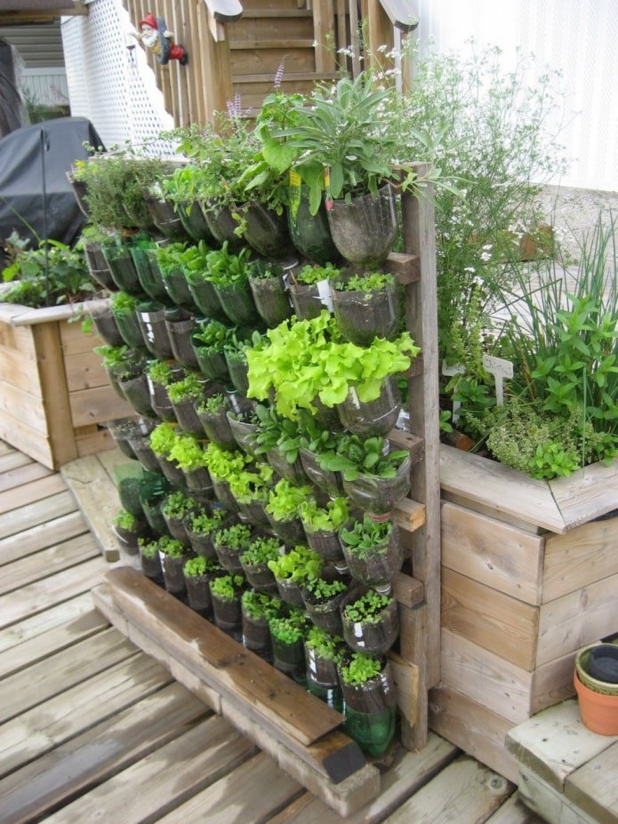 Estante de botellas para flores