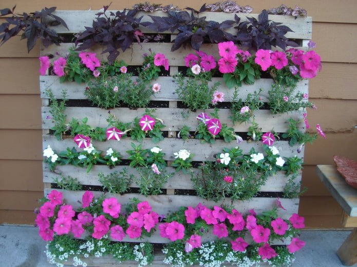 macizo de flores vertical de madera para petunias