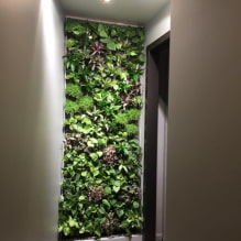 ¿Cómo hacer jardinería vertical en el interior?-0