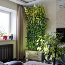 ¿Cómo hacer jardinería vertical en el interior? -3