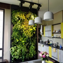¿Cómo hacer jardinería vertical en el interior? -2